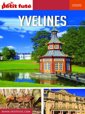 cover image of YVELINES 2020 Petit Futé